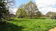 Thumbnail for Pevensey Road Nature Reserve