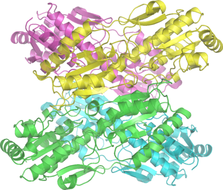 Bacillus stearothermophilus phosphofructokinase (PDB: 6PFK​)