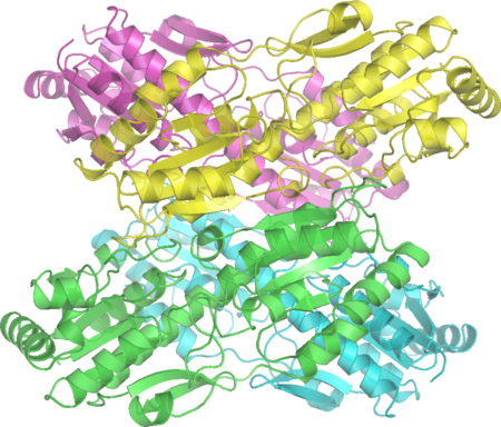 Fosfofruktokinase_1