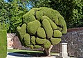 Plaza Parterre, Parque del Retiro, Madrid, España, 2017-05-18, DD 29.jpg