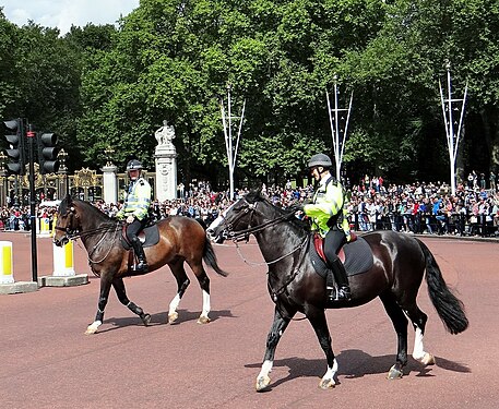 Police in London