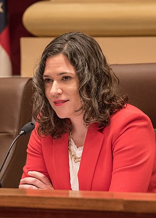 <span class="mw-page-title-main">Lisa Bender</span> American politician and city planner in Minnesota