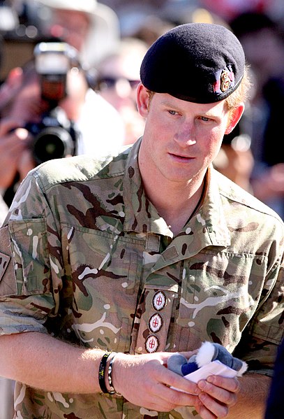 File:Prince Harry (17396840192).jpg