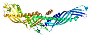 Proteina CETP PDB 2obd.png