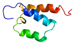 Белок SFRS14 PDB 1x4p.png