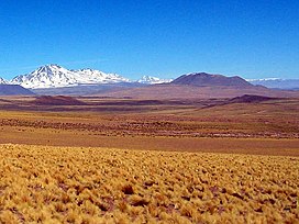 Вулкан Пулар, Чили 015b.jpg