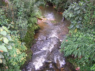 Quebrada Santa Elena-corregimiento.JPG