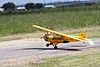 RC Cub (11819899836).jpg