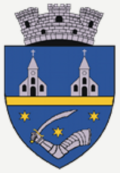 Wappen von Vlăhița