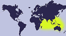 Distribution map of Lyncina carneola Repartition-cypraea-carneola.jpg