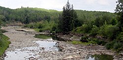 Rewdwillow River.JPG