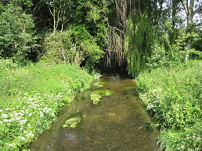 Denham Country Park