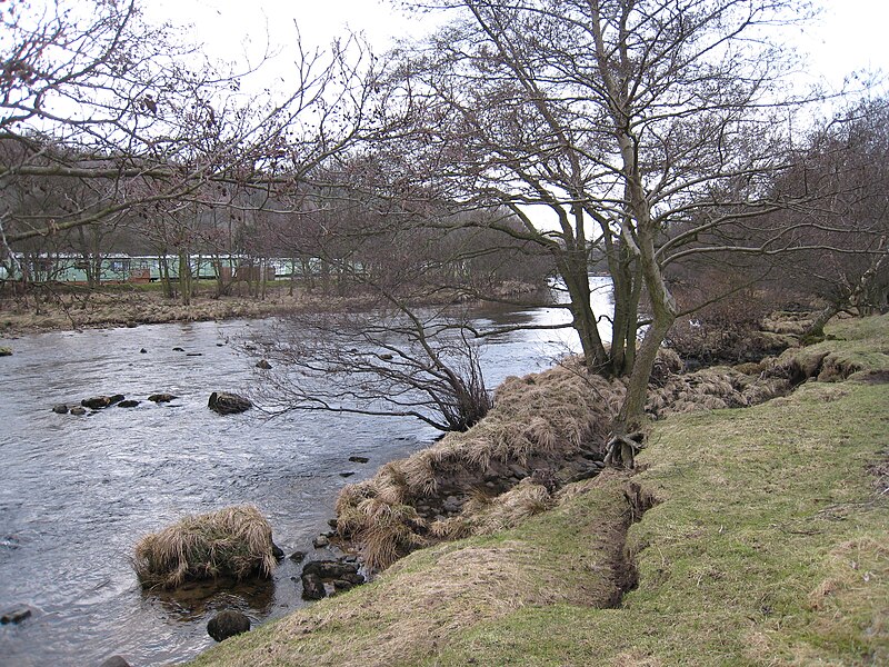 File:River Swale near East Applegarth - geograph.org.uk - 1711802.jpg