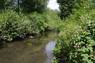 The River Ver in the Watercress Wildlife Site River Ver in Watercress Wildlife Site.JPG