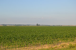 Robb Township, Posey County, Indiana Township in Indiana, United States