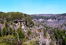 View of Cane Creek Gorge from the Rocky Point Overlook