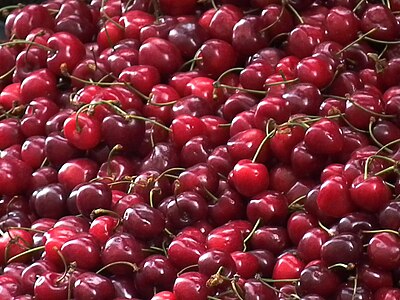 cherries (Prunus avium fruits) - Rote Süßkirschen