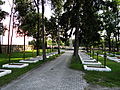 cmentarz wojenny z I wojny światowej