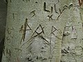 Runic epigraph on the rag tree at Coldrum Long Barrow.