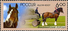 Illustrativt billede af artiklen Vladimir (hest)