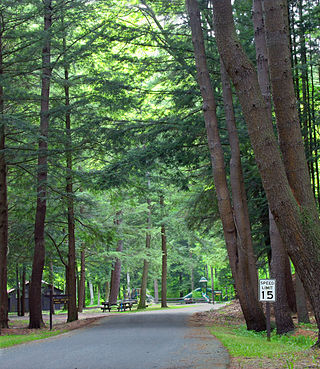 <span class="mw-page-title-main">Sizerville State Park</span> State park near Emporium, Pennsylvania