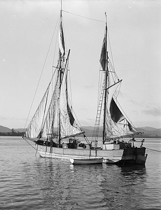 <span class="mw-page-title-main">Scow</span> Type of flat-bottomed barge