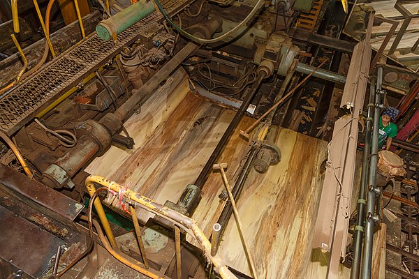 A continuous sheet of veneer coming out of a peeling rotary lathe