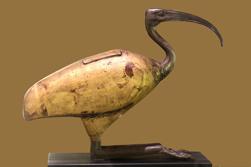 File:Sarcophage Ibis - Musée vieille charité.jpg