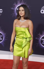 Fayl:Selena Gomez AMAs 2019.png üçün miniatür