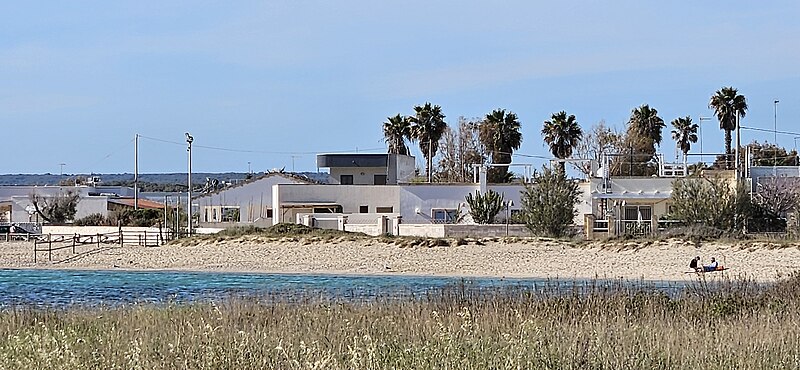 File:Seven palm trees.jpg