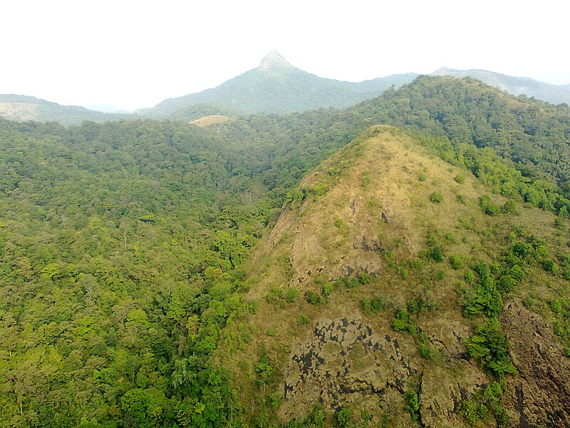 File:Silent Valley National Park 030.jpg