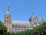 St.-Johannes-Kathedrale (’s-Hertogenbosch)