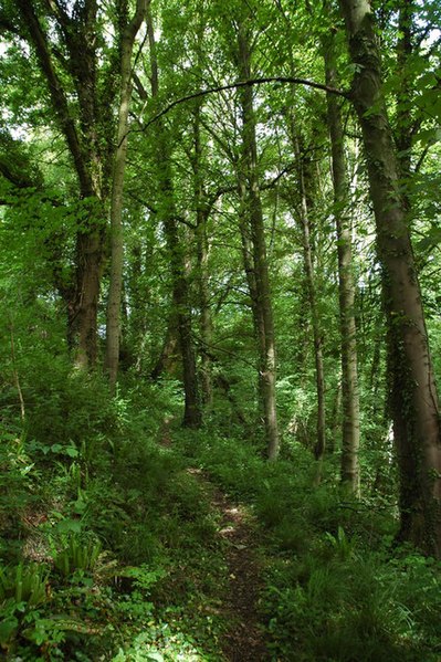 File:Site of Oldcastle, near Almeley - geograph.org.uk - 439348.jpg