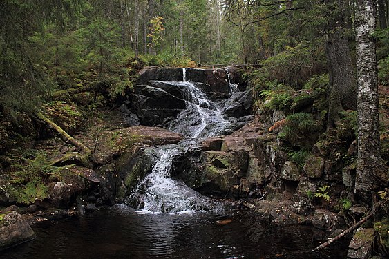 Small waterfall in Skuleskogen. Photograph: Pavel.shyshkouski