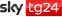 Sky TG24 - Logo 2021.svg