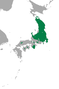 Small Japanese Mole area.png