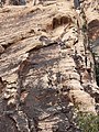 Solar Slab, Oak Creek Canyon