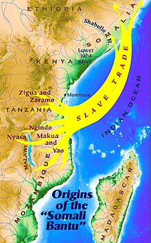 Map showing the ancestral roots of the Somali Bantu peoples Somali Bantu Origins.jpg