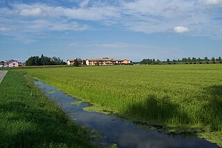 Bornasco Comune in Lombardy, Italy