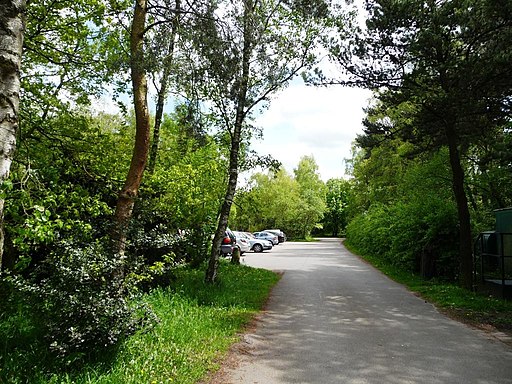 Southern car park, Shakerley Mere - geograph.org.uk - 2945707