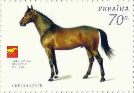 Ngựa cưỡi Ukraina
