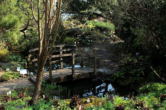 Footbridge in the Botanical Garden of the University of Vienna