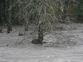 Stillaguamish River in flood