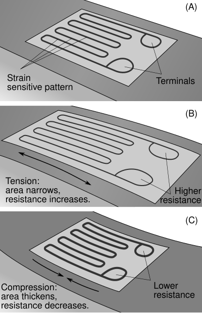 Visualization of the working concept behind the strain gauge on a beam under exaggerated bending StrainGaugeVisualization.svg