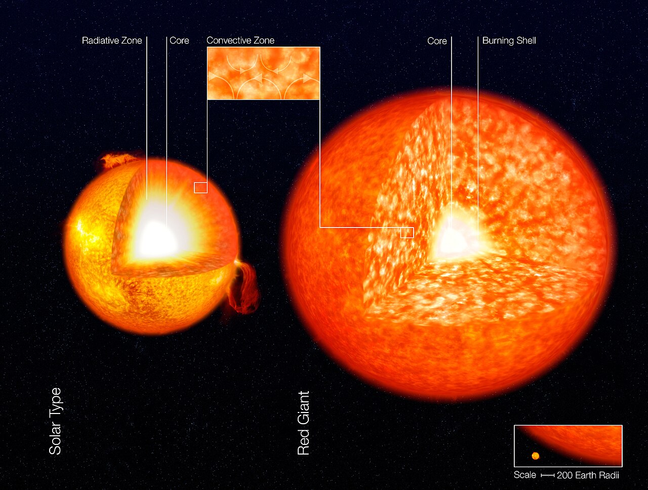 Sun Size Chart