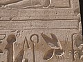 Thumbnail for Abydos graffiti