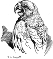 Illustration from The Strand Magazine, Volume 3, 1892.