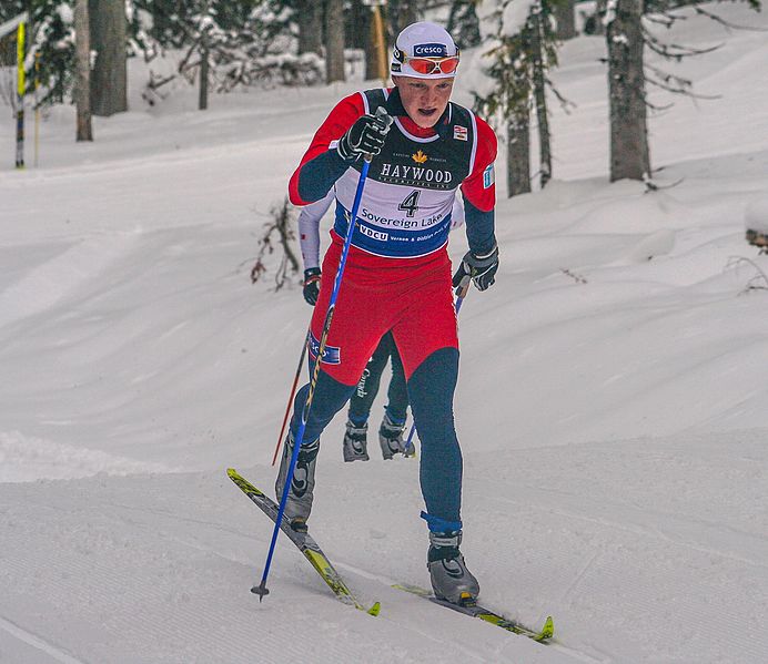 File:Tore Ruud Hofstad (32989453931) (cropped).jpg