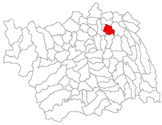 Traian, Bacău Commune in Bacău, Romania