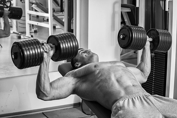 A bodybuilder performs the incline dumbbell press.